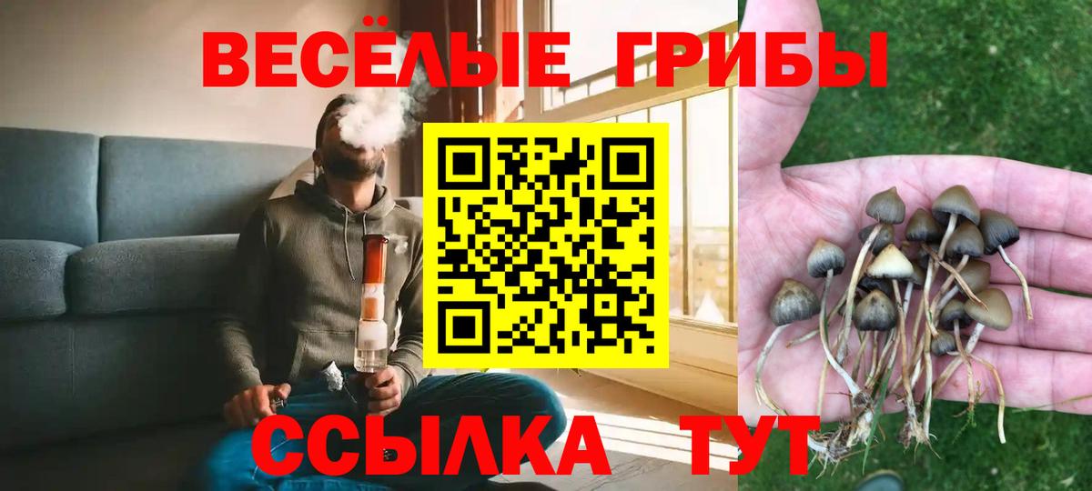 Ангарск  Галлюциногенные грибы MAGIC MUSHROOMS  закладки  Вход с VPN 