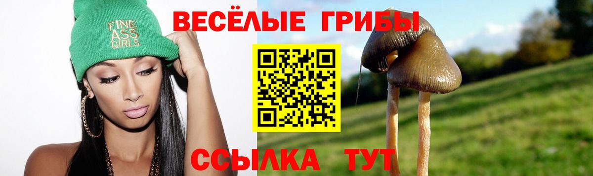 Галлюциногенные грибы GOLDEN TEACHER Ангарск